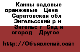 Канны садовые оранжевые › Цена ­ 50 - Саратовская обл., Энгельсский р-н, Энгельс г. Сад и огород » Другое   